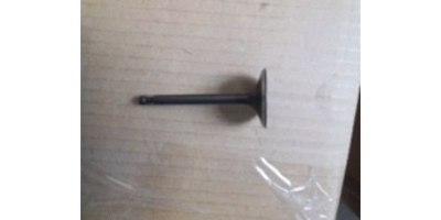 Клапан впускной